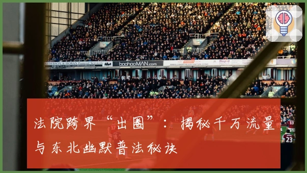 法院跨界“出圈”：揭秘千万流量与东北幽默普法秘诀