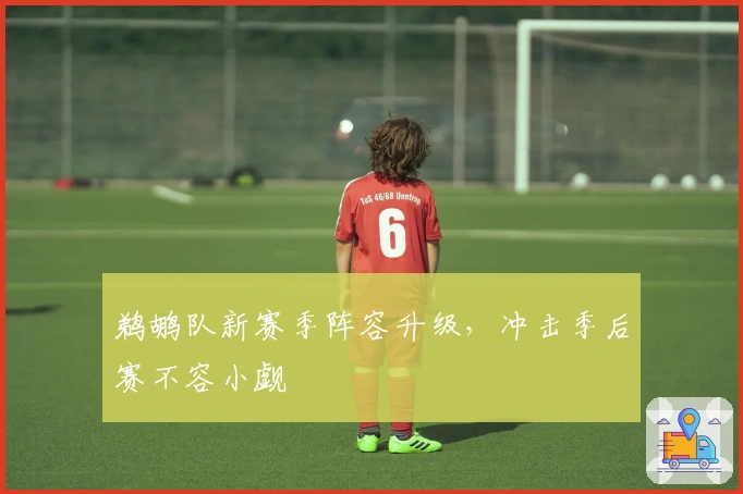 鹈鹕队新赛季阵容升级，冲击季后赛不容小觑